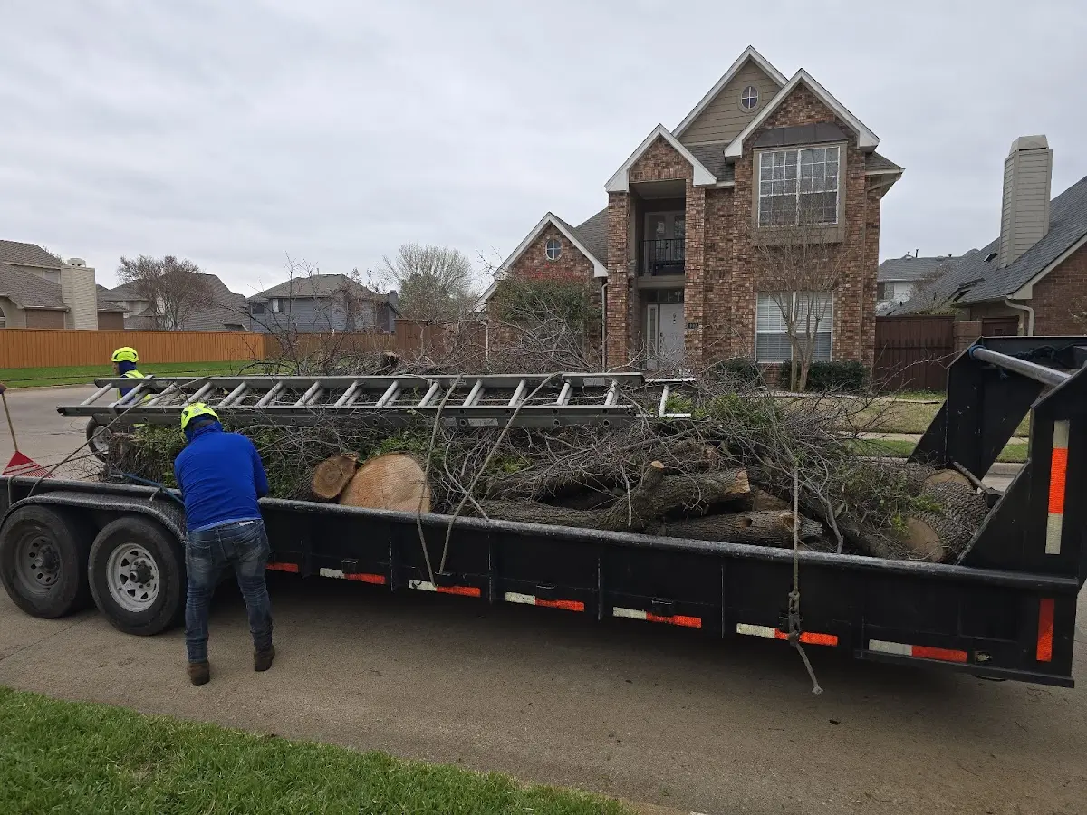 Expert Tree Fertilization with proper safety equipment in Bryan
